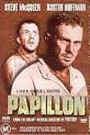 Papillon